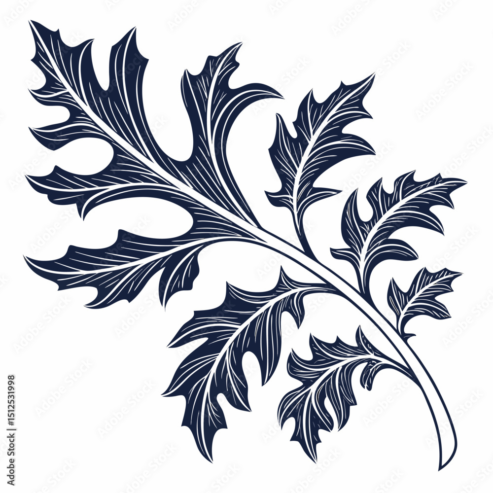 acanthus