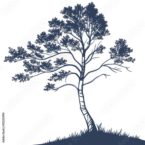 silhouette of a tree with aspen