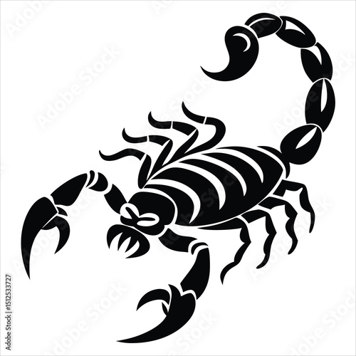scorpion silhouette vector illustration