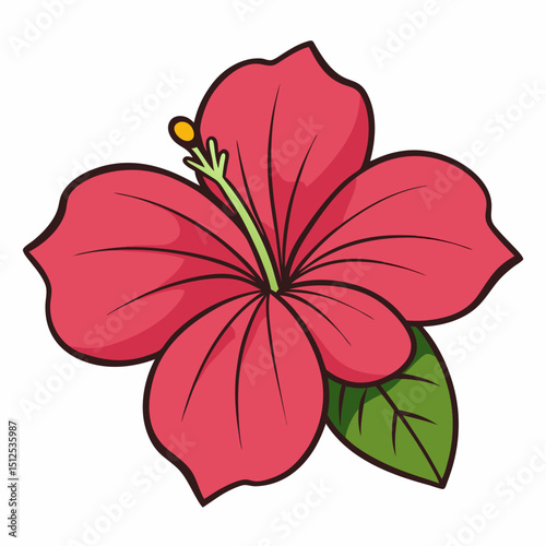 red hibiscus flower