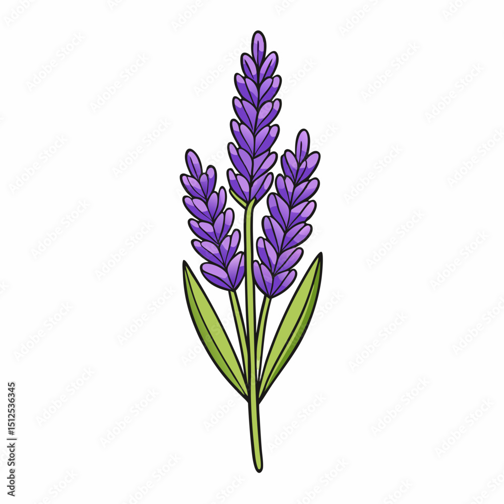 Fototapeta premium blue flowers isolated on white background