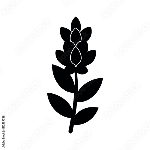 Bluebonnet Flower Silhouette Vector