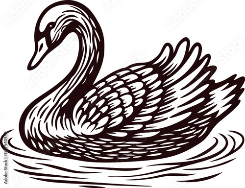 of a graceful swan gliding on water with detailed feathers in elegant