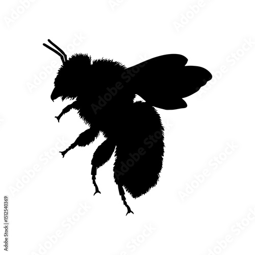 Bee silhouette icon vector flat design on white background