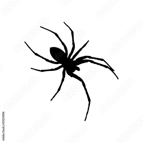 Spider silhouette icon vector flat design on white background