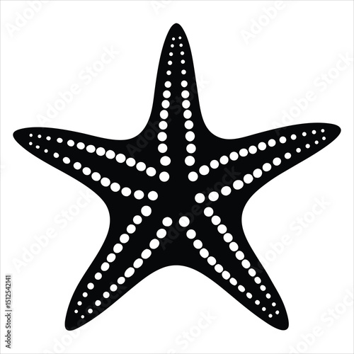 starfish silhouette vector illustration