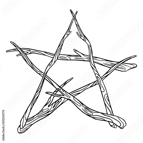Pentagram branch star
