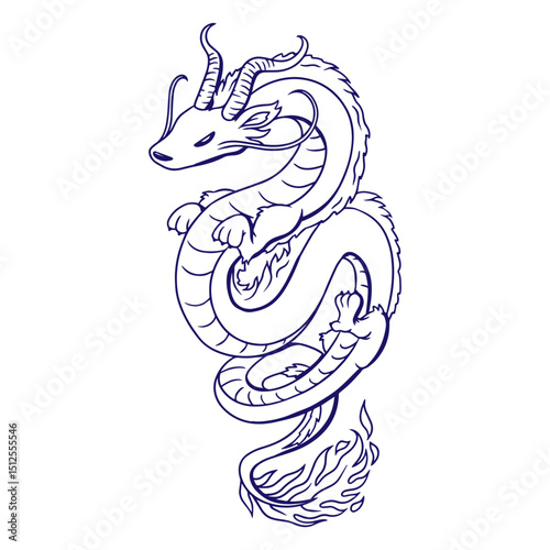 Wonderful asian dragon