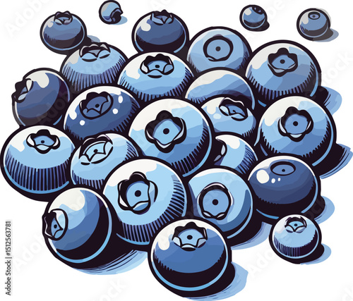 Delicious pile of fresh blueberries with shadows in a stylized illustration for design projects