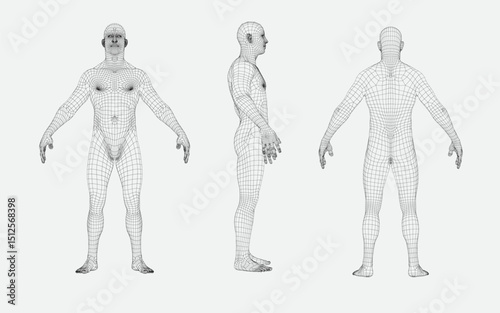 man body  wireframe from different sides, front view,back view,side view, futuristic and technology