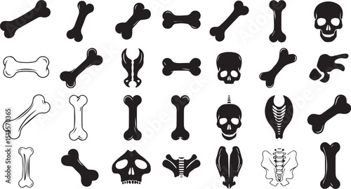 Assorted Human Bones Set