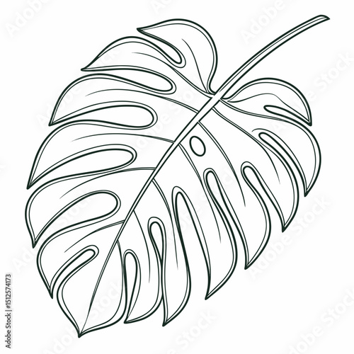 A detailed outline of a monstera leaf showcasing its distinctive splits and fenestrations in black and white