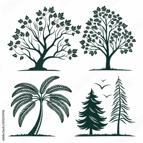 Illustration featuring four distinct tree types including deciduous palm and coniferous silhouettes design