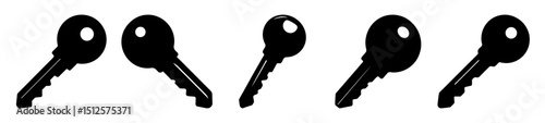 Various black keys are seen against a plain white background in vector format