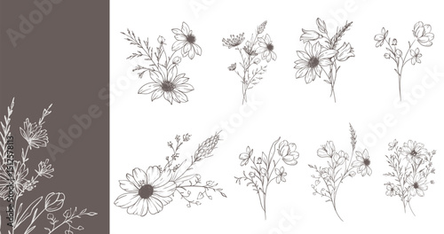 Trendy floral wildflowers and leaves line art illustration. Botanical Line Art Collection of wildflowers. Hand drawn line art graphics. Luxury Fine Line Floral Art. Perfect for Elegant wedding invite