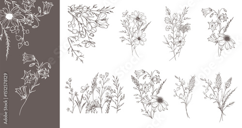 Wallpaper Mural Trendy floral wildflowers and leaves line art illustration. Botanical Line Art Collection of wildflowers. Hand drawn line art graphics. Luxury Fine Line Floral Art. Perfect for Elegant wedding invite Torontodigital.ca