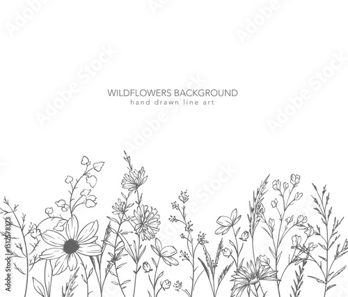 Trendy floral wildflowers and leaves line art illustration. Botanical Line Art Collection of wildflowers. Hand drawn line art graphics. Luxury Fine Line Floral Art. Perfect for Elegant wedding invite
