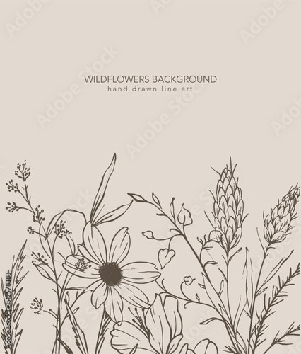 Trendy floral wildflowers and leaves line art illustration. Botanical Line Art Collection of wildflowers. Hand drawn line art graphics. Luxury Fine Line Floral Art. Perfect for Elegant wedding invite