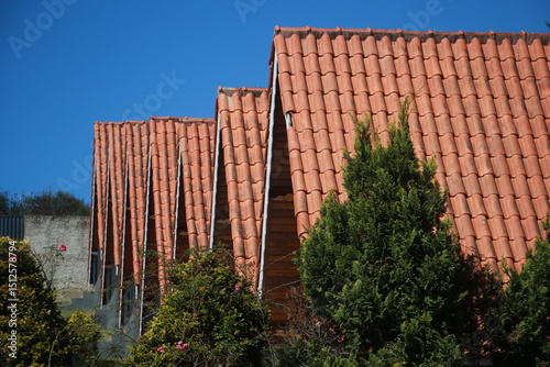Telhados photo
