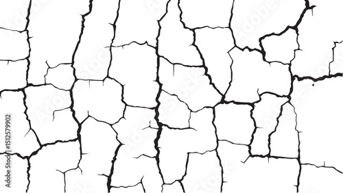 Vector grunge cracked texture. Black cracks isolated on white background. Abstract cracked texture .	