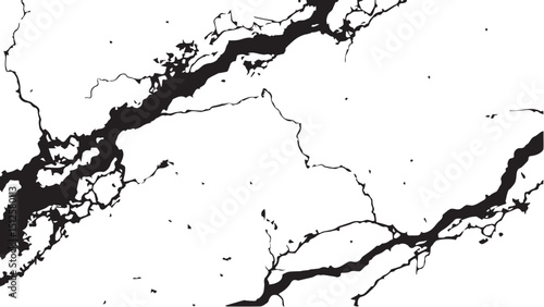 Vector grunge cracked texture. Black cracks isolated on white background. Abstract cracked texture .	