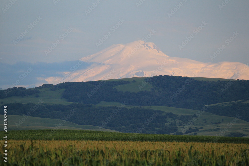 Obraz premium western slope of mount elbrus on a sunny summer day