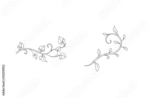 Elegant black and white floral vine elements suitable for decorative design projects