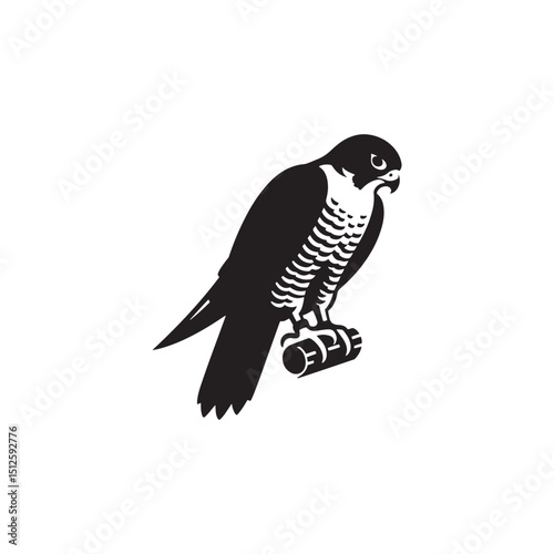 **"Swift Peregrine Falcon Vector Silhouette: High-Speed Raptor Design Featuring Sleek Body, Sharp Talons, and Stooping Pose in Clean, Minimalist Style for Crafts and Digital Art"**
