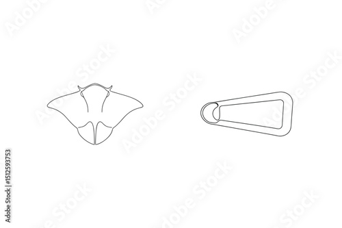Minimalist one line design featuring a ray and a carabiner on a white background