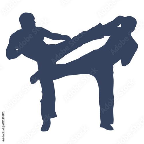 Kickboxing boxing fight silhouette