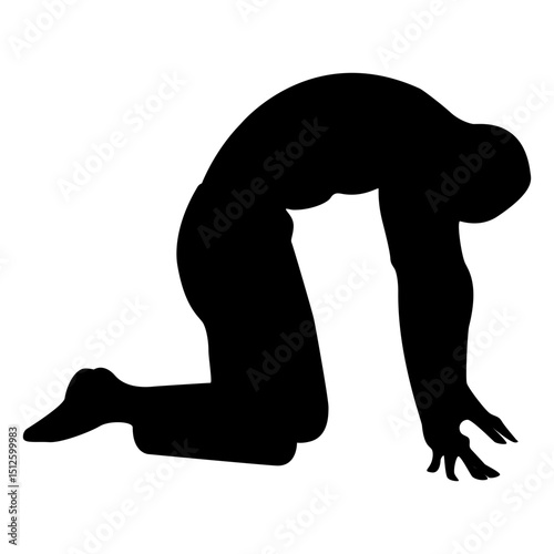 Cat yoga pose silhouette