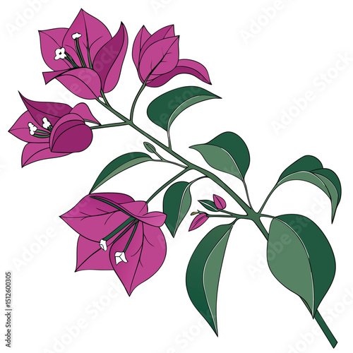 Elegant Flow, Leaf Song, Silken Petals, Soft Embrace, Floral Mood, Spring Hush, Peaceful Spread, Light Veins, Poetic Bloom, Quiet Garden, Wild Rhythm, Botanic Glow,