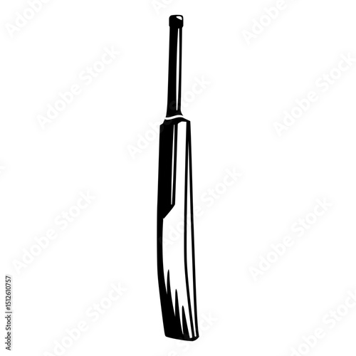 Cricket bat filled stroke
