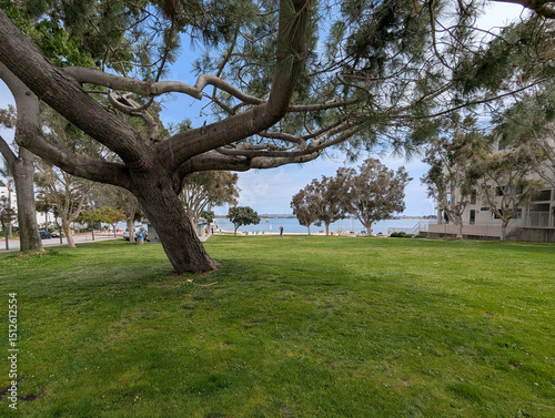 Fanuel Street Park in Mission Bay San Diego California