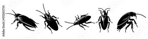 Cockroach silhouette set insect illustration. Cockroach black silhouette icon vector anatomy design