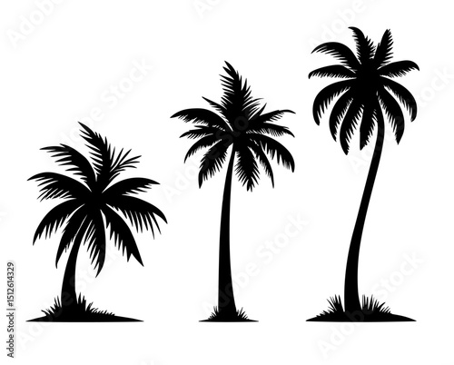 Palm tree black coconut icon. Palmetto beach black summer palm tree hawaii vector icon.