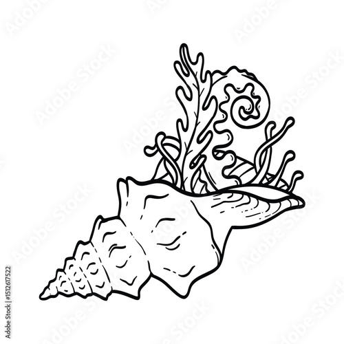 Vector hand drawn illustration of algae in a big seashell
