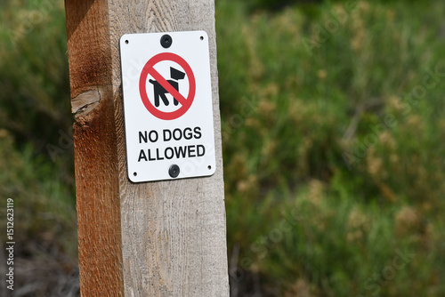 Photography No dogs allowed sign on wooden fence post.