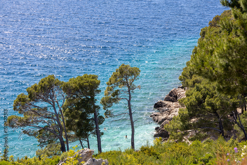 Fototapeta Naklejka Na Ścianę i Meble -  Amazing seascape of Adriatic sea. Near Makarska beach Croatia, Europe. Colorful summer view of small beach. Croatian coast with clear water and pine trees around.