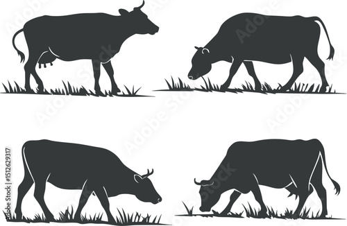 Set of Four Black Cow Silhouettes in Standing, Grazing, and Feeding Poses with Grassy Elements on a White Background, cow and calf vector