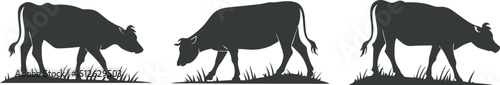 Three Black Cow Silhouettes in Walking, Standing, and Grazing Poses with Grass on Light Background for Farm-Themed Design
