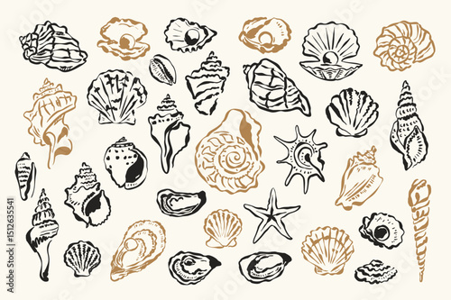 Ocean vector doodle collection. Coastal lifestyle. Italian summer doodles.