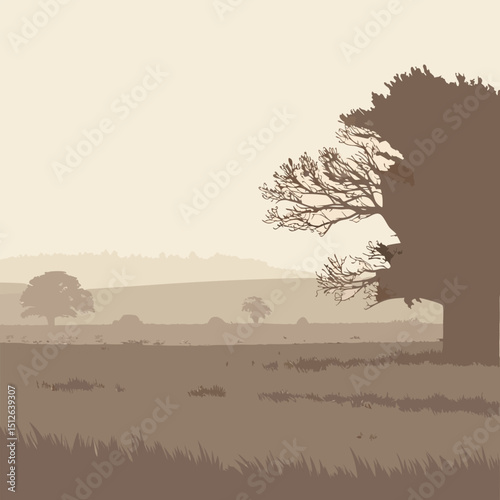 a vector background of a flat field with fog soft light muted tones