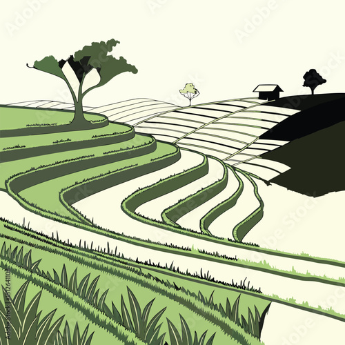 vector rice field background terraced hills