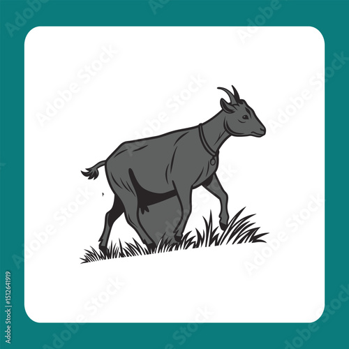 vector illustration of a black goat