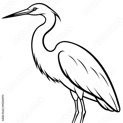 Intermediate Egret Vector on White Background