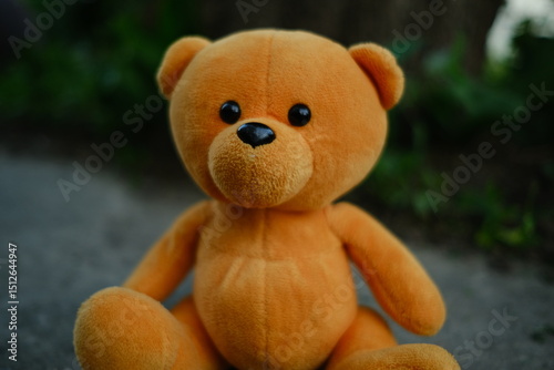 A soft orange teddy bear is positioned on the ground with a backdrop of lush greenery The warm late afternoon light casts gentle shadows creating a peaceful atmosphere around the toy
