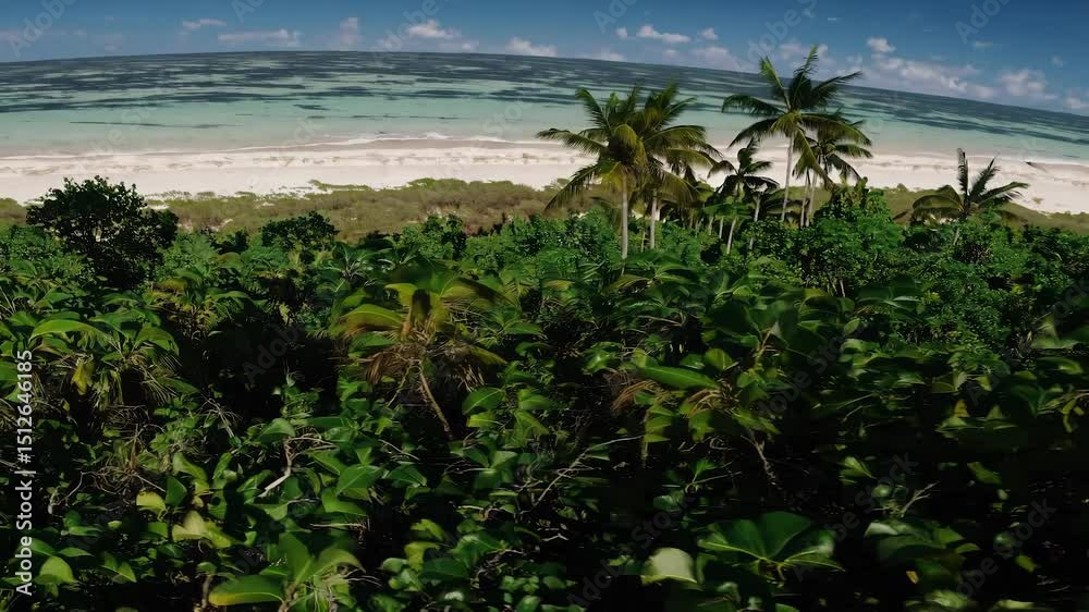 Aerial drone view flying above green tropical island with palm trees and dense vegetation opening to empty sandy beach and calm ocean - exotic escape and travel concept Aerial drone view flying above green tropical island with palm trees and dense vegetation opening to empty sandy beach and calm ocean - exotic escape and travel concept