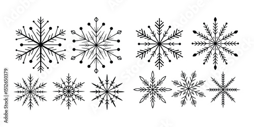 Snowflake Vector Collection  Winter Holiday Decorative Elements photo