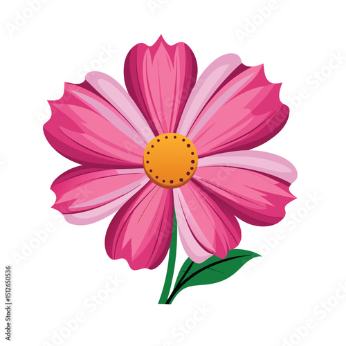 pink dahlia flower